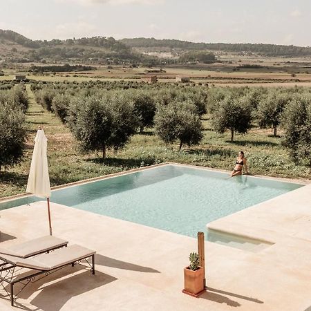 Agroturisme Gossalba Sant Joan 外观 照片